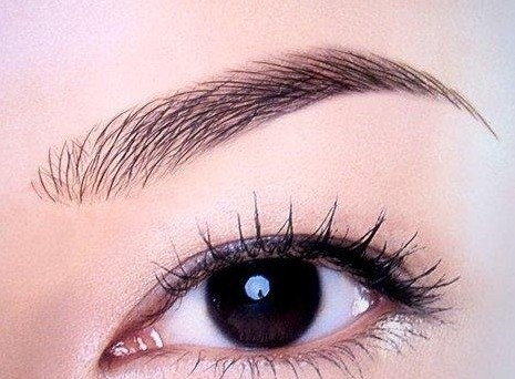 女人眉毛看老公帅不帅! - 手相研究 - xiaochen7777的博客